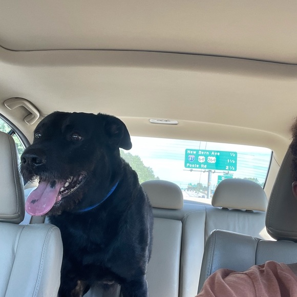 Meet your Posher, Keinesha - Picture 1 of 1